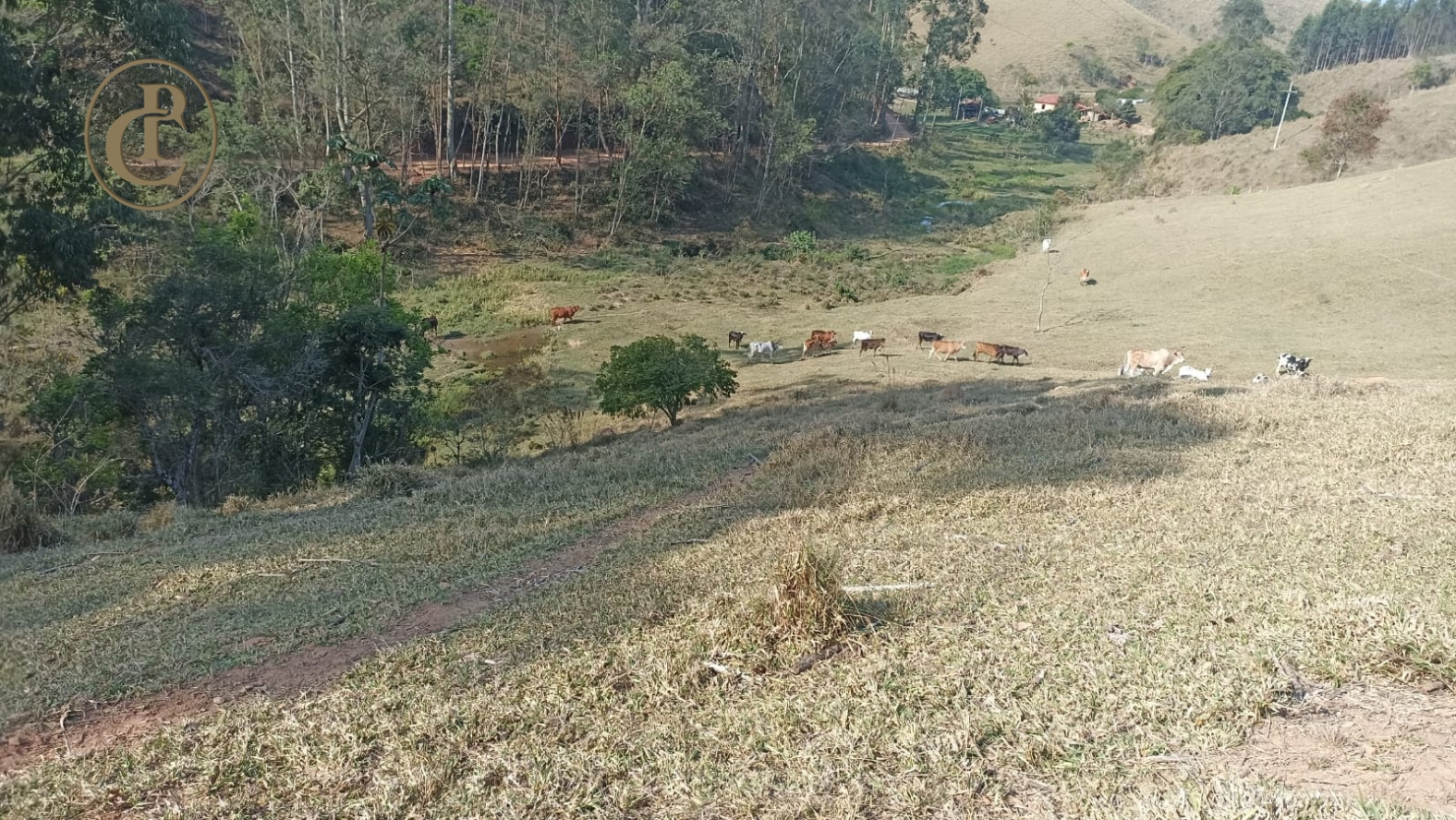 Sítio, 1 quarto, 180 m² - Foto 3