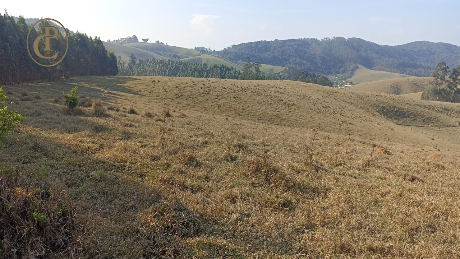 Sítio, 1 quarto, 180 m² - Foto 4