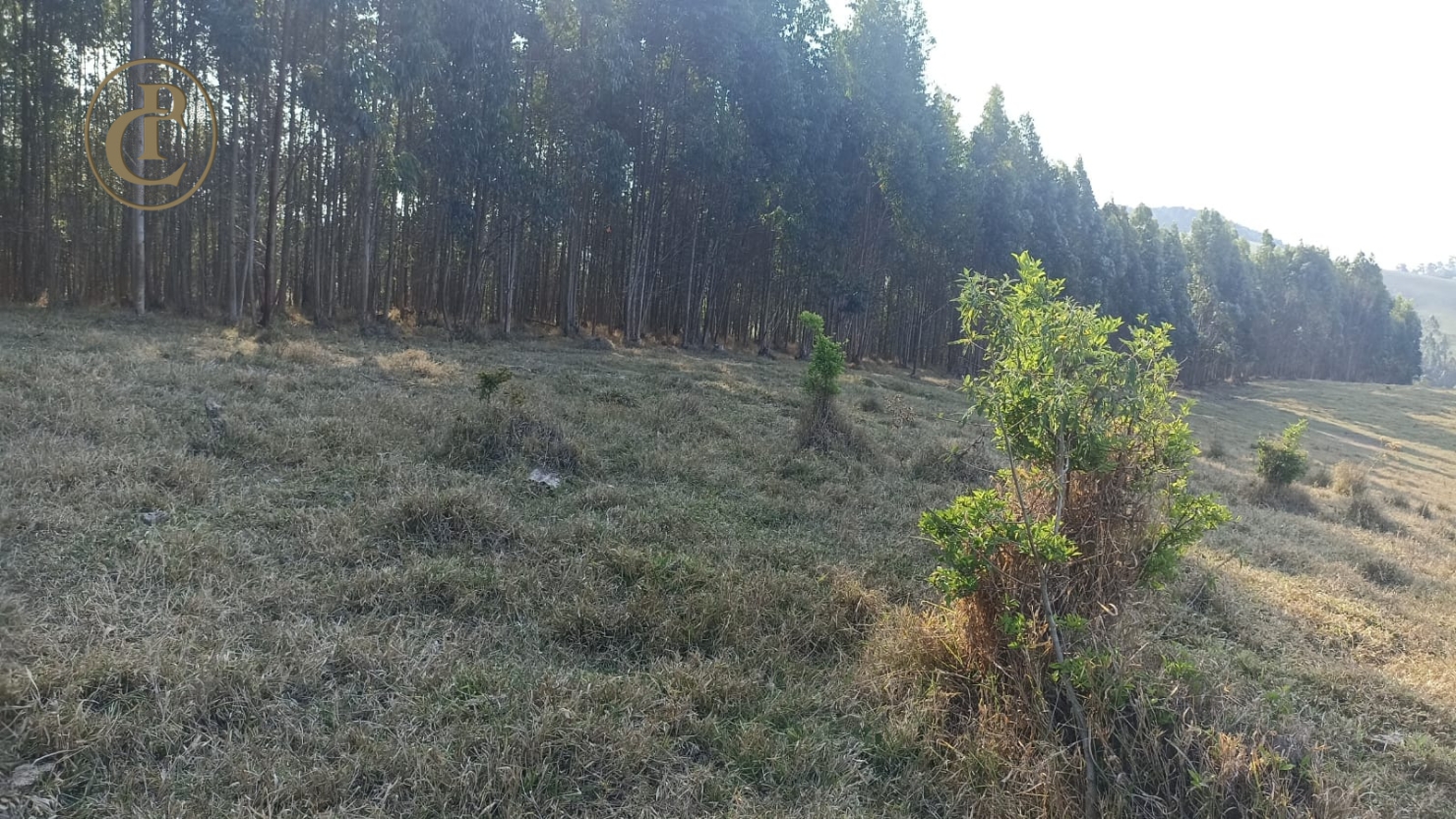 Sítio, 1 quarto, 180 m² - Foto 5