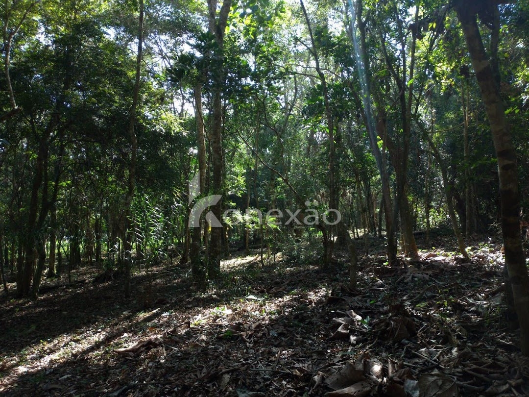 Chácara em Paraibuna/São Paulo — Ref U8J3LQ — Imagem 10