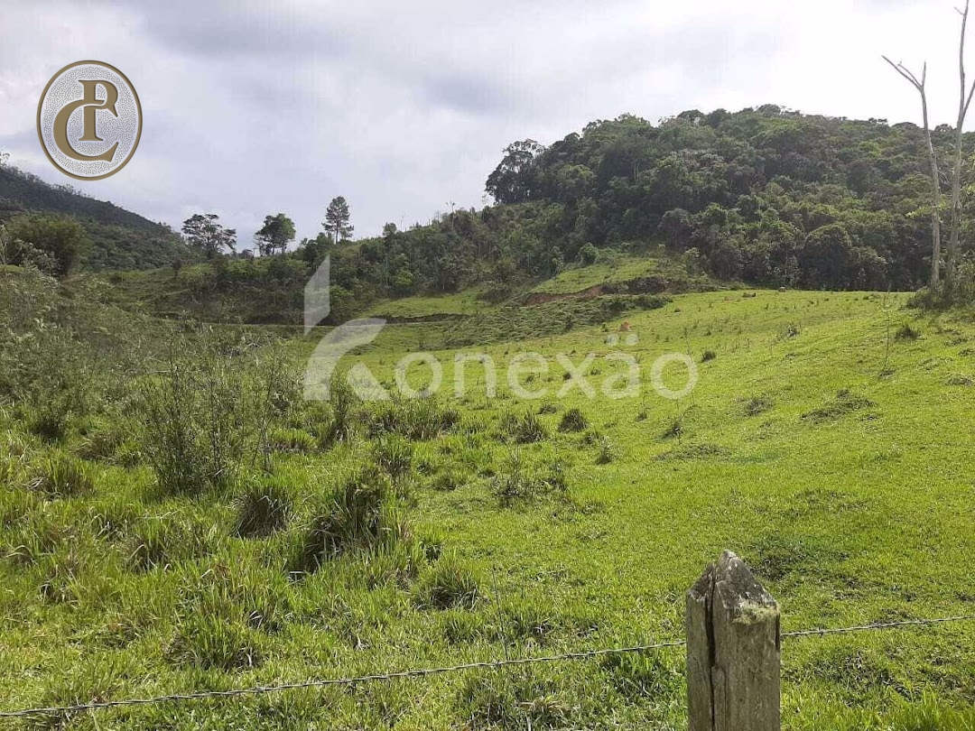 Fazenda, 300 m² - Foto 3