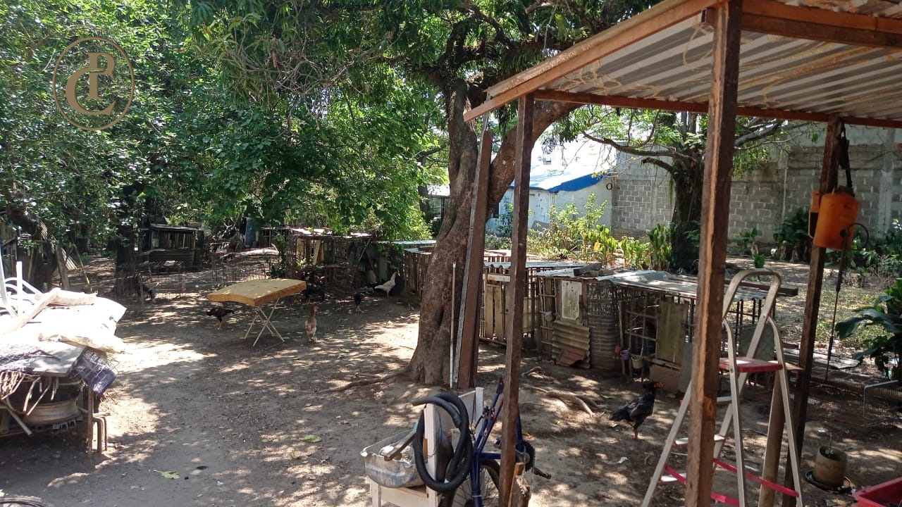 Terreno, 2400 m² - Foto 2