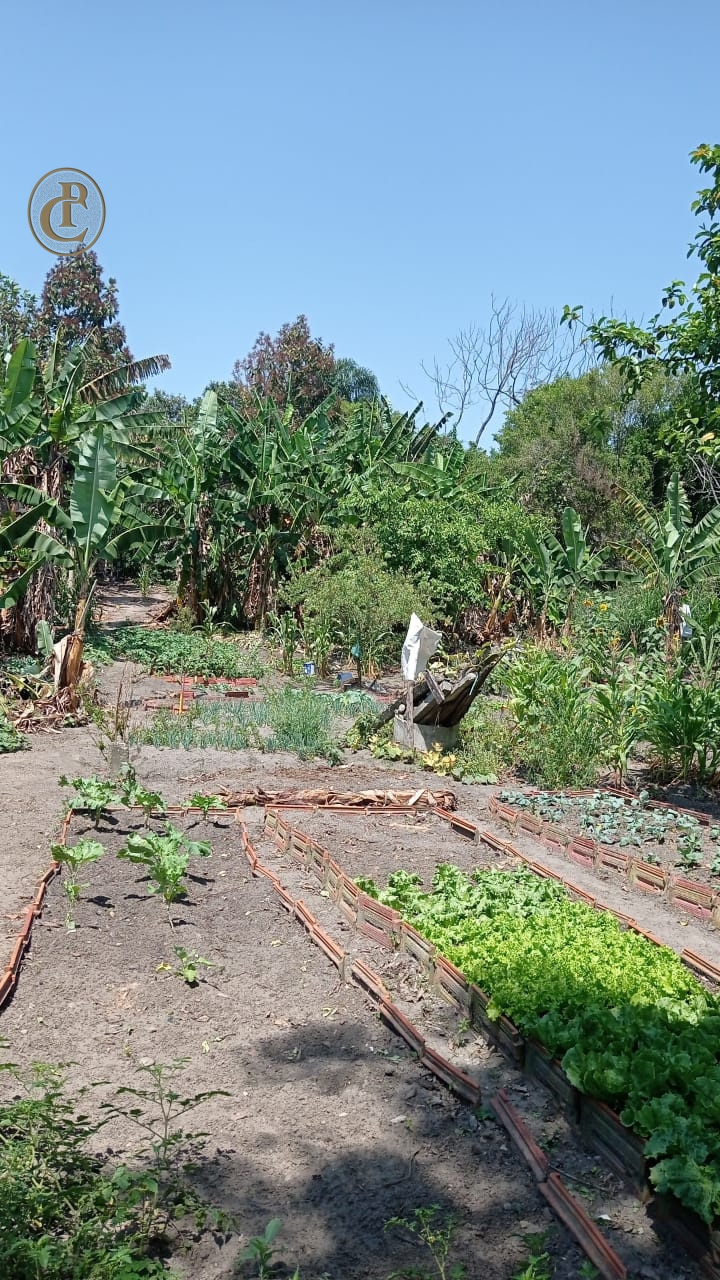 Terreno, 2400 m² - Foto 1