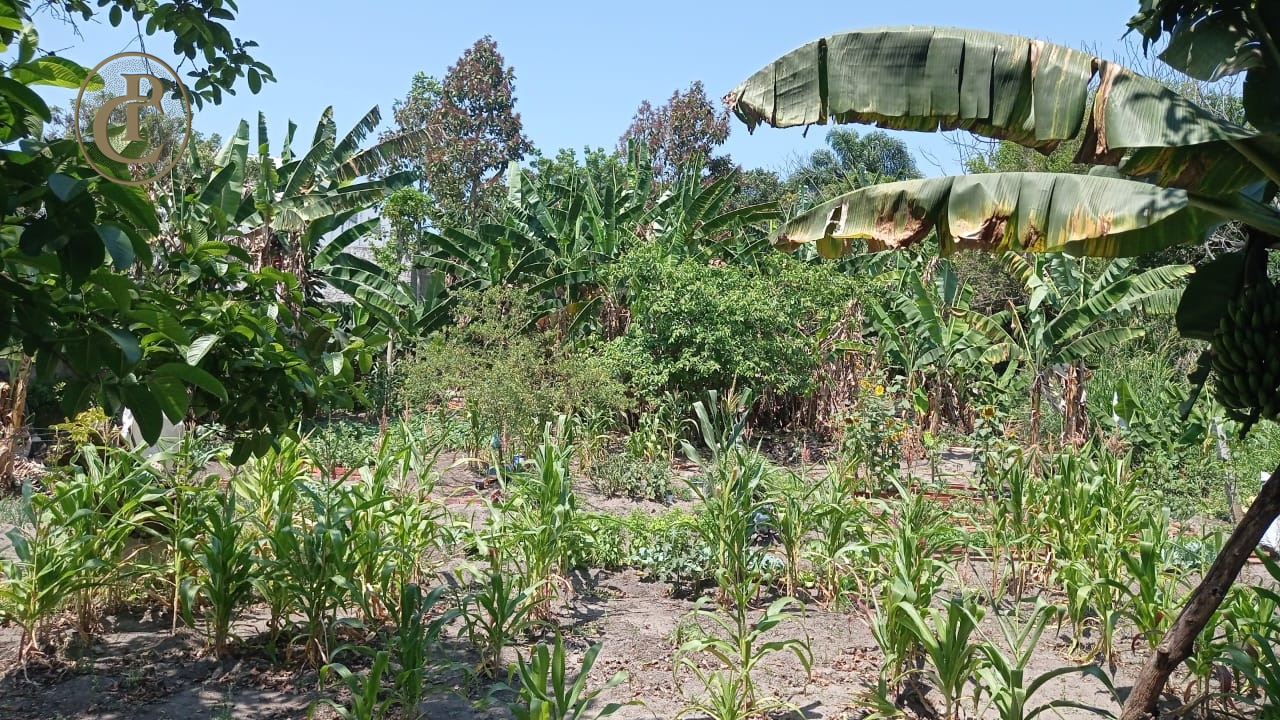 Terreno, 2400 m² - Foto 5