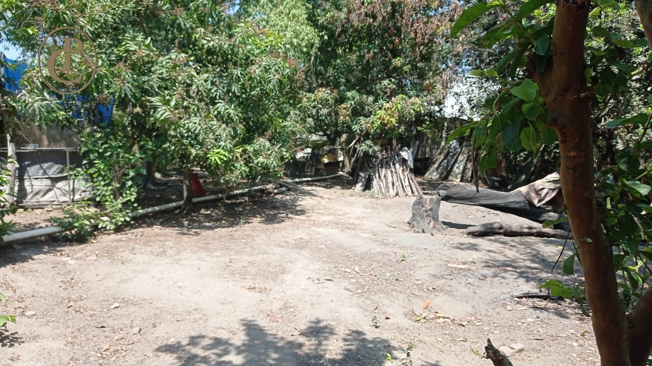 Terreno, 2400 m² - Foto 6