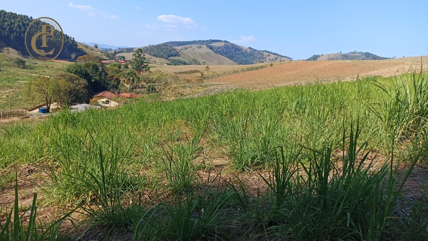 Sítio, 3 quartos, 300 m² - Foto 4