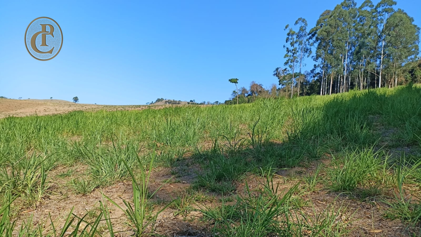 Sítio, 3 quartos, 300 m² - Foto 5