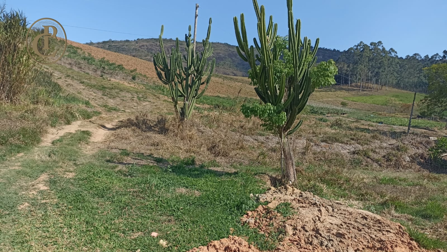 Sítio em Paraibuna/São Paulo — Ref BJSPM1 — Imagem 9