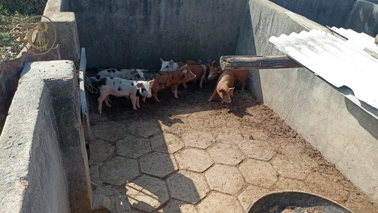 Sítio em Paraibuna/São Paulo — Ref BJSPM1 — Imagem 10