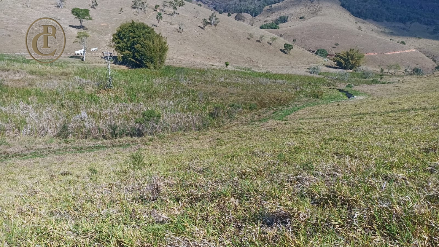 Sítio em Paraibuna/São Paulo — Ref BJSPM1 — Imagem 14