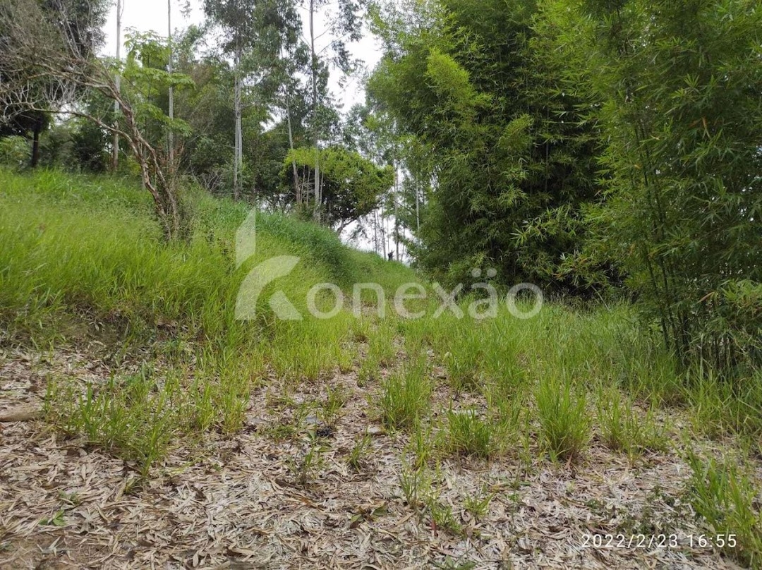 Chácara em Paraibuna/São Paulo — Ref P1D2W9 — Imagem 18