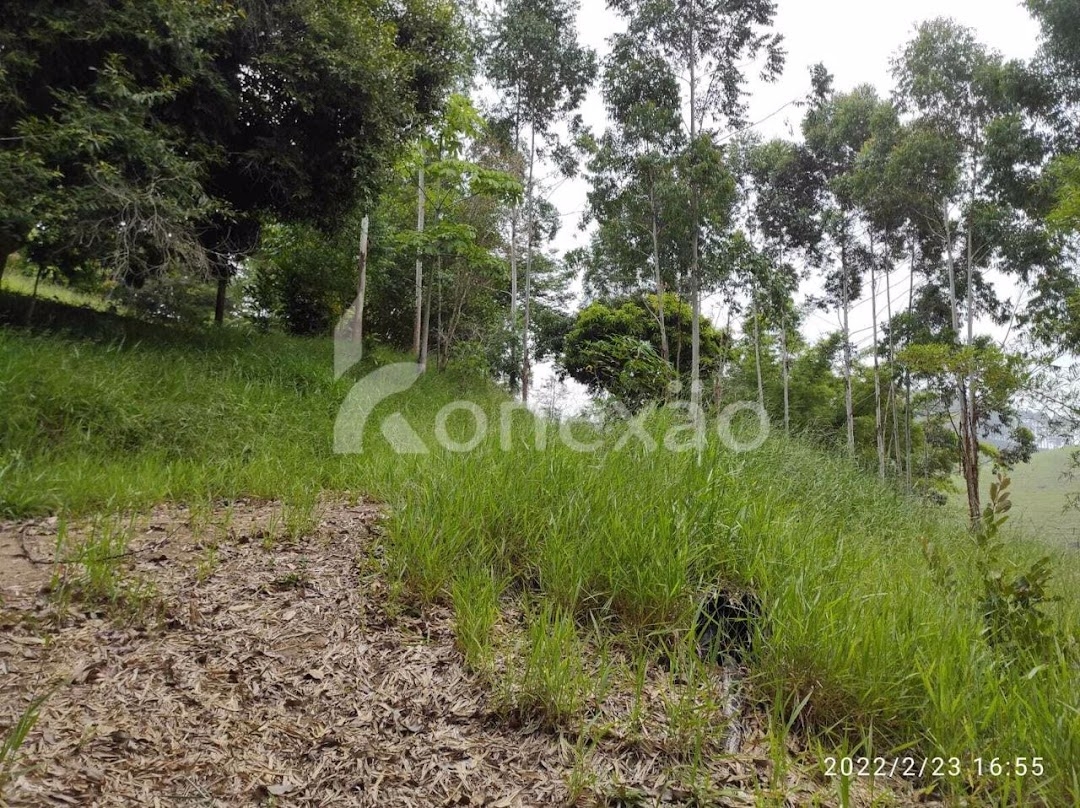 Chácara em Paraibuna/São Paulo — Ref P1D2W9 — Imagem 19