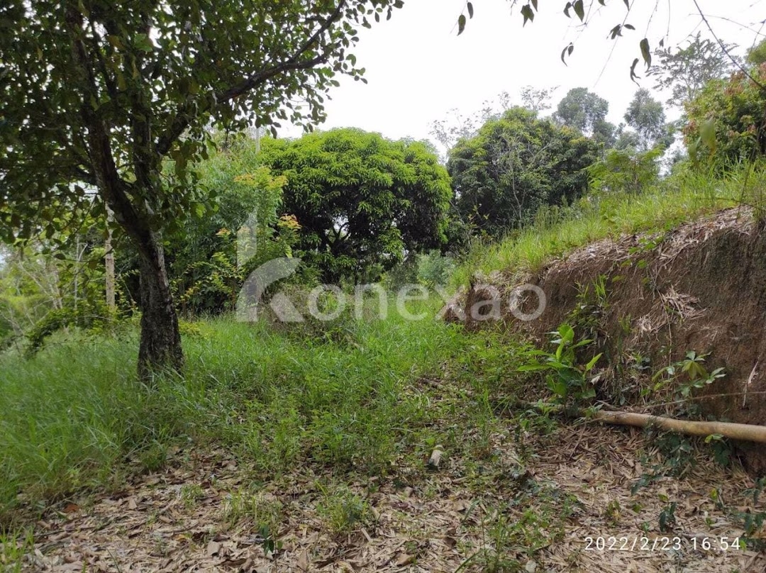 Chácara em Paraibuna/São Paulo — Ref P1D2W9 — Imagem 21