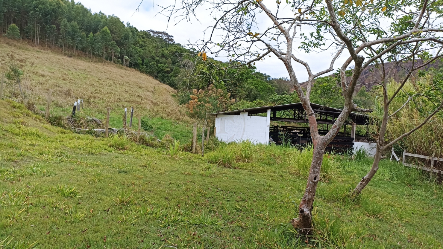 Sítio, 5 quartos, 600 m² - Foto 4