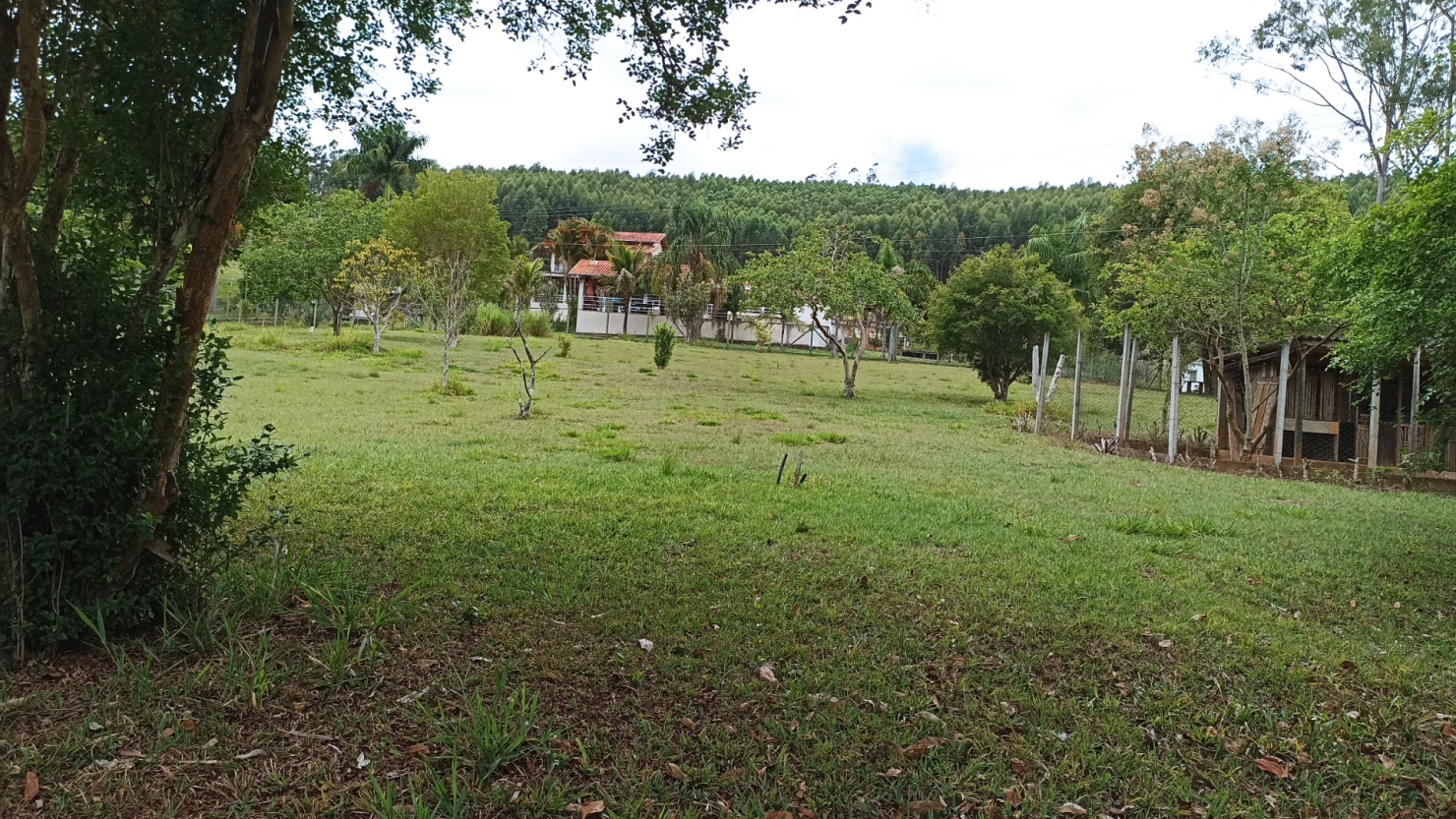 Sítio, 5 quartos, 600 m² - Foto 1