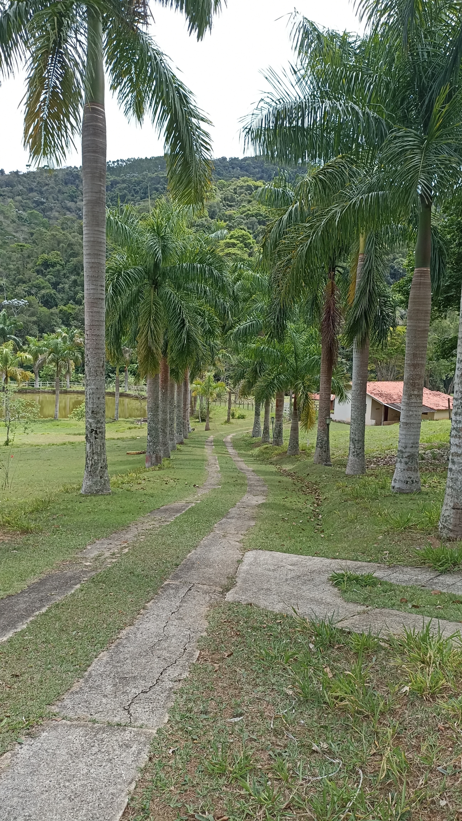 Sítio em Paraibuna/São Paulo — Ref I05CPE — Imagem 20