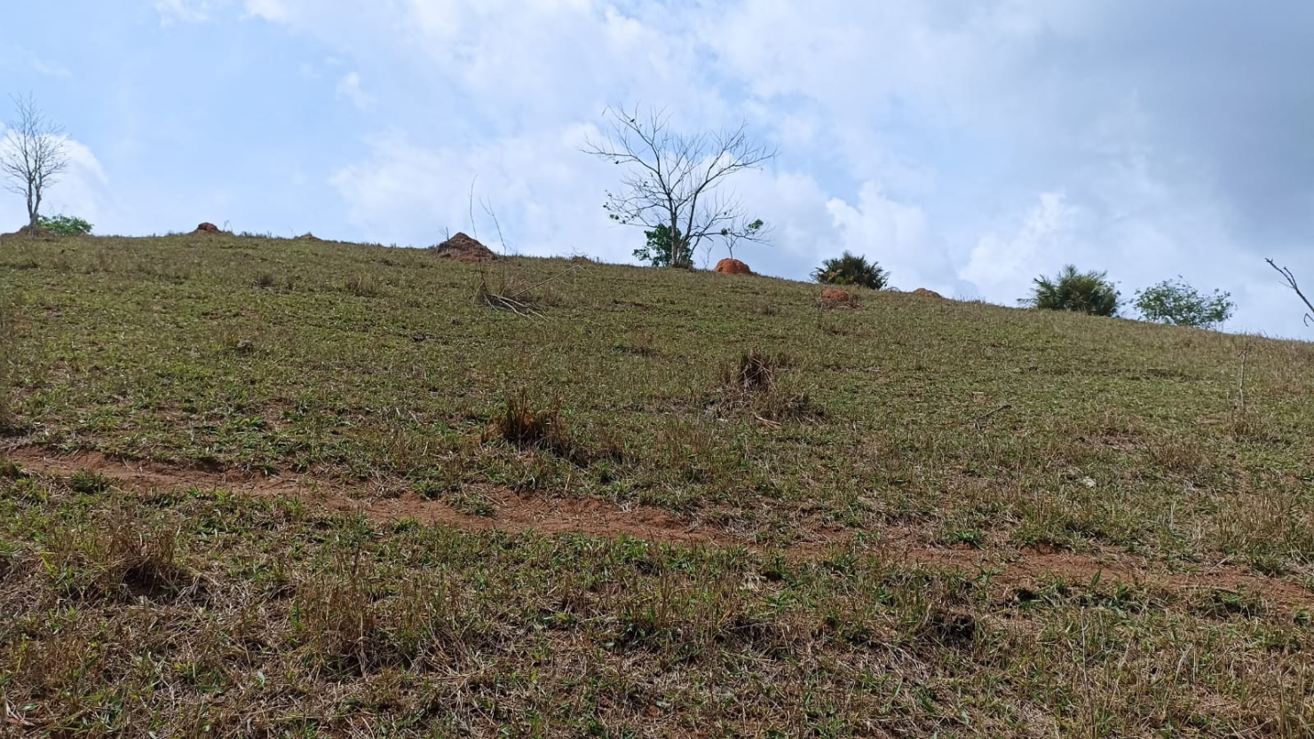 Sítio, 1 quarto, 10 m² - Foto 1