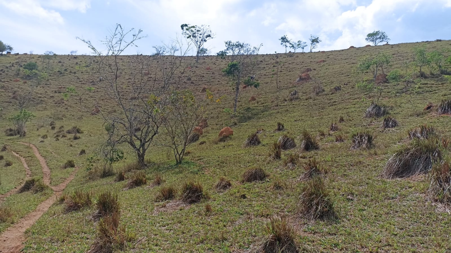 Sítio, 1 quarto, 10 m² - Foto 2