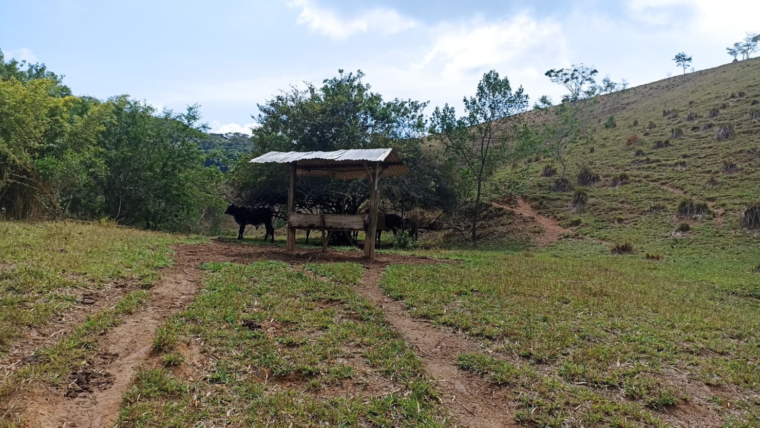 Sítio, 1 quarto, 10 m² - Foto 3