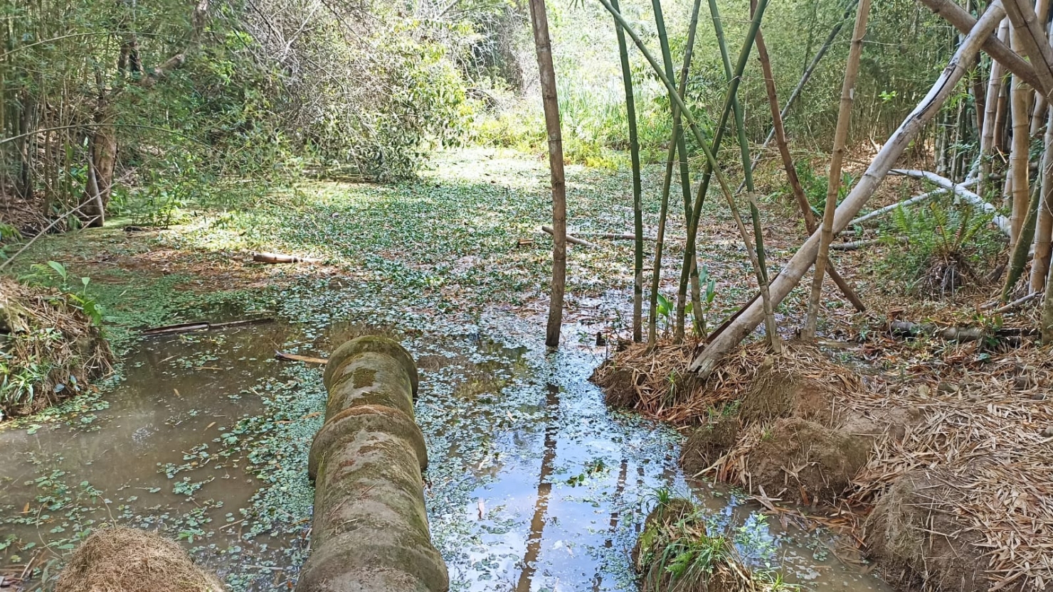 Sítio, 1 quarto, 10 m² - Foto 4