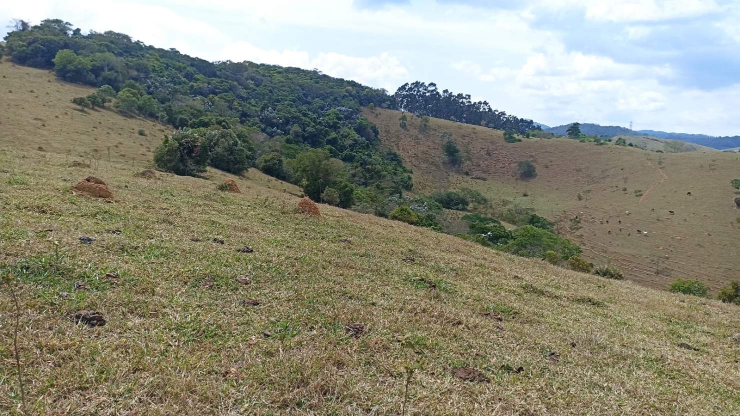 Sítio em Paraibuna/São Paulo — Ref ISF3P1 — Imagem 12