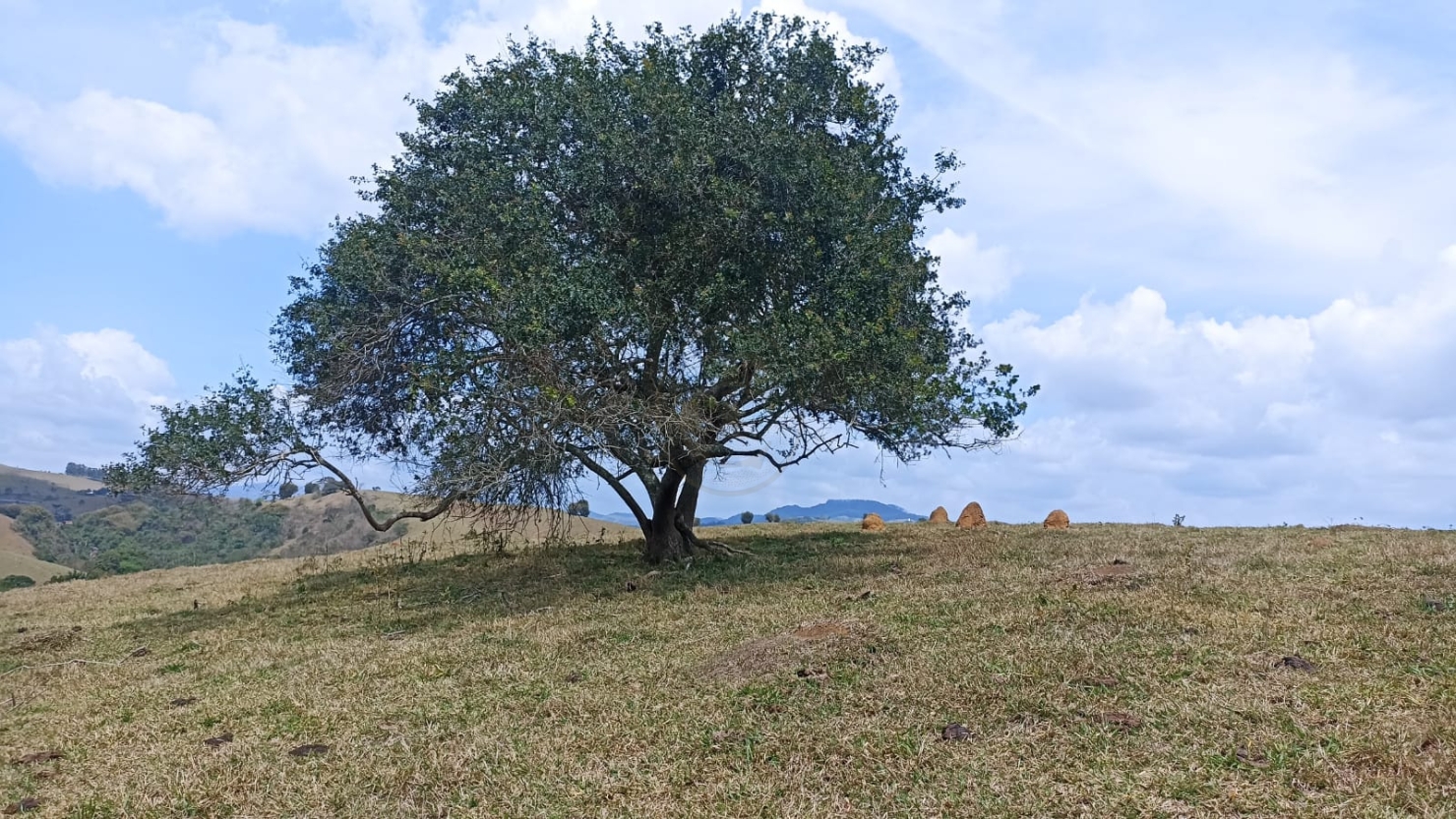 Sítio em Paraibuna/São Paulo — Ref ISF3P1 — Imagem 15