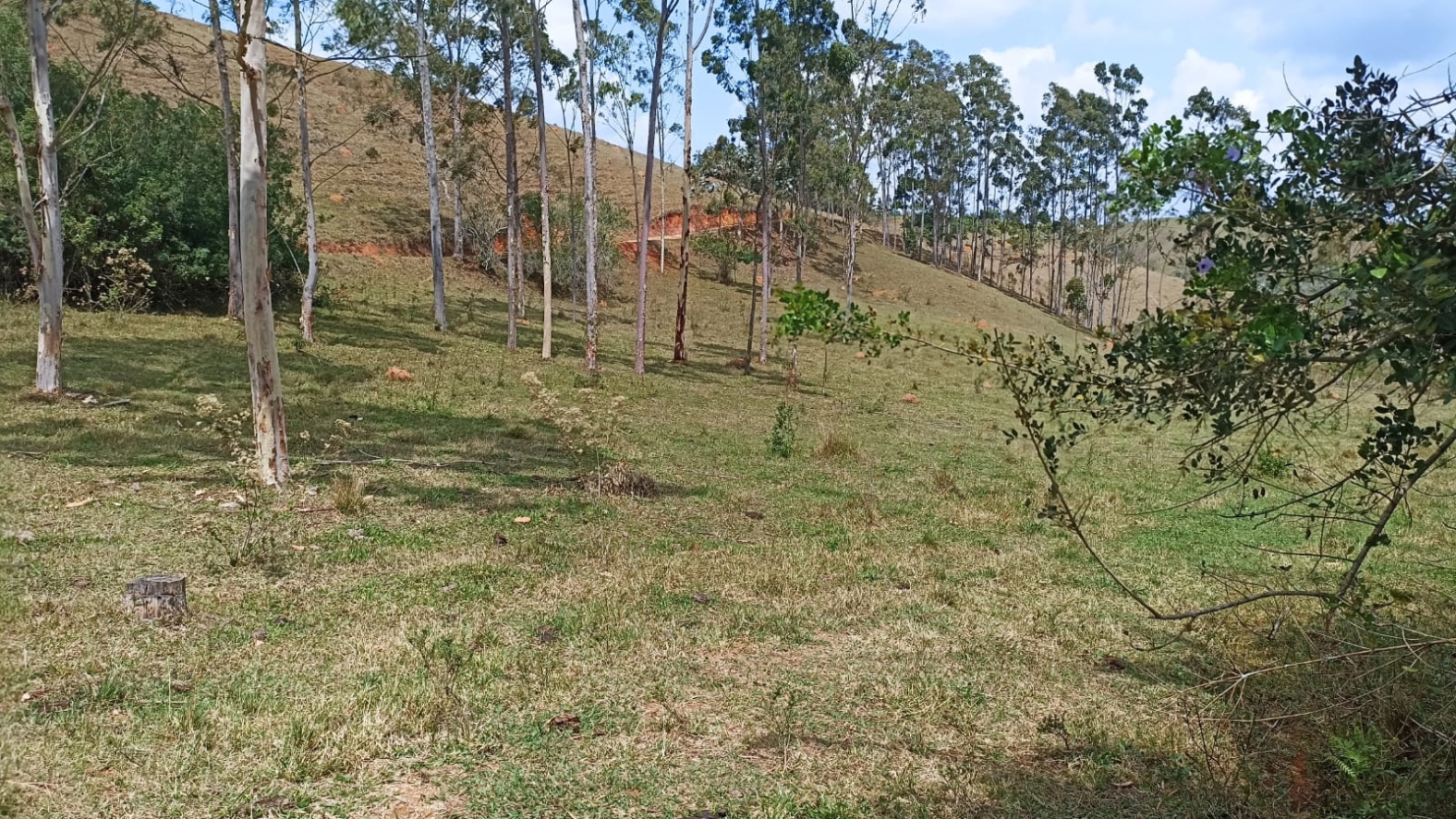 Sítio em Paraibuna/São Paulo — Ref ISF3P1 — Imagem 23