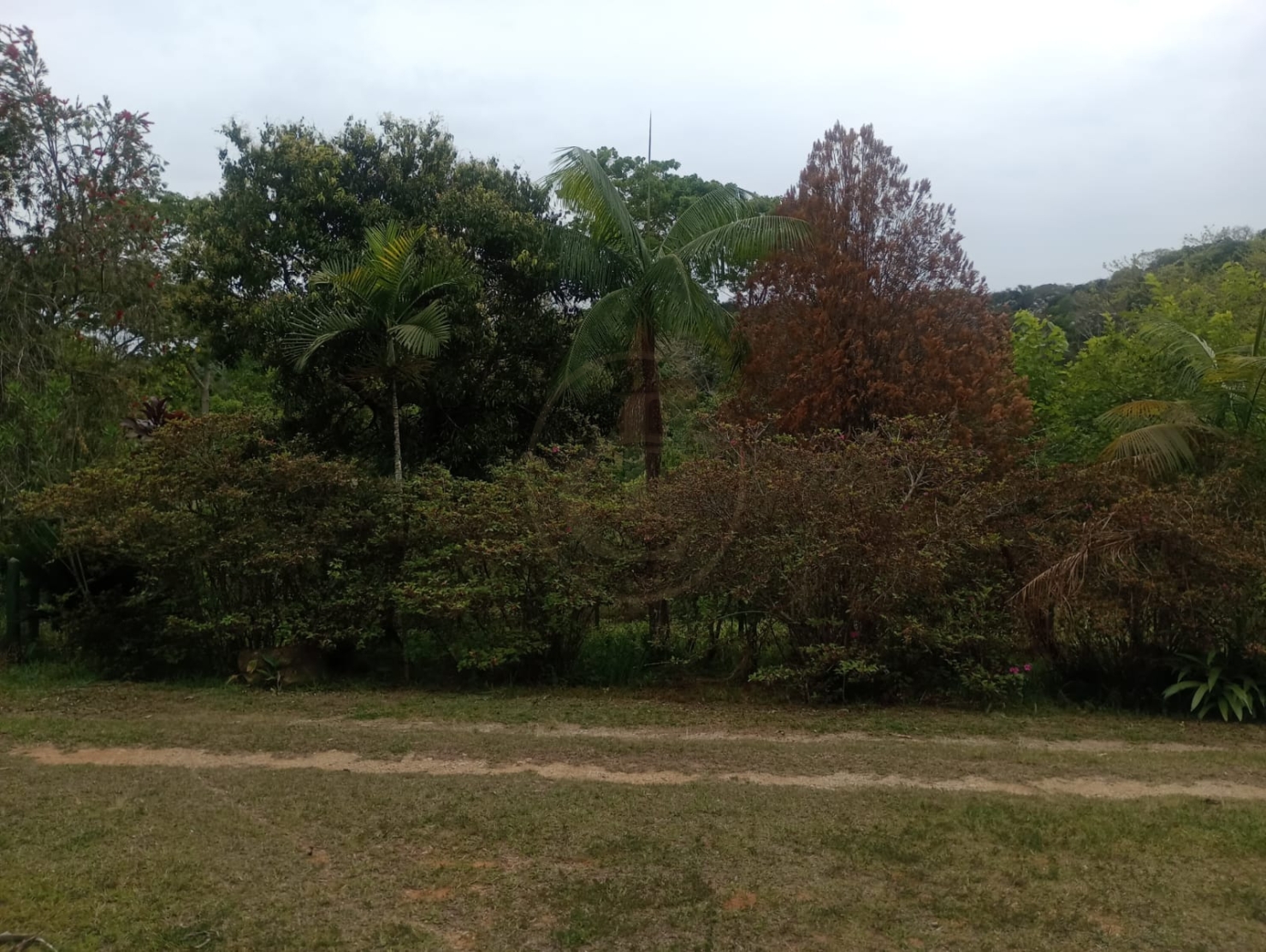 Sítio, 4 quartos, 100 m² - Foto 2