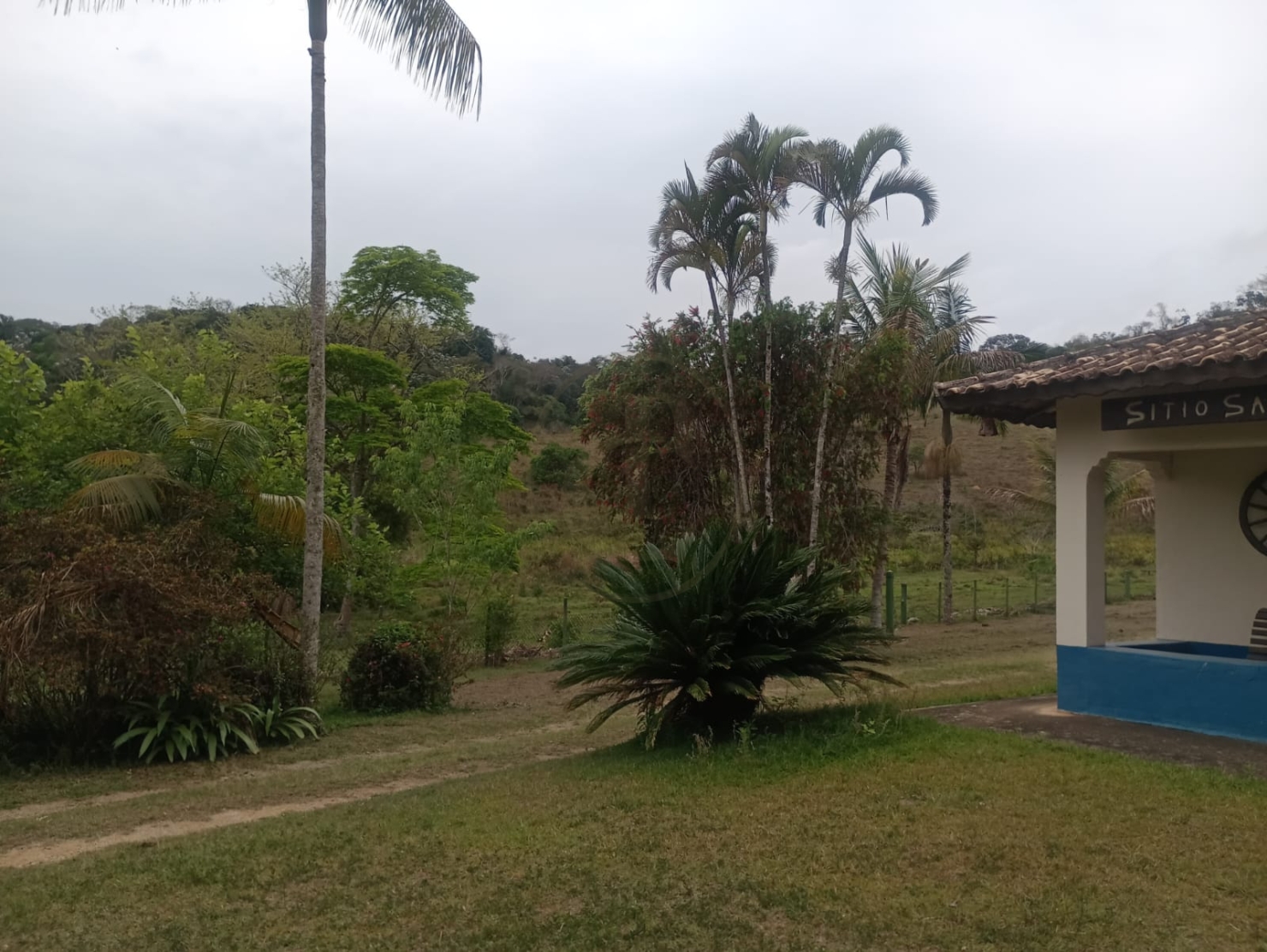 Sítio, 4 quartos, 100 m² - Foto 3