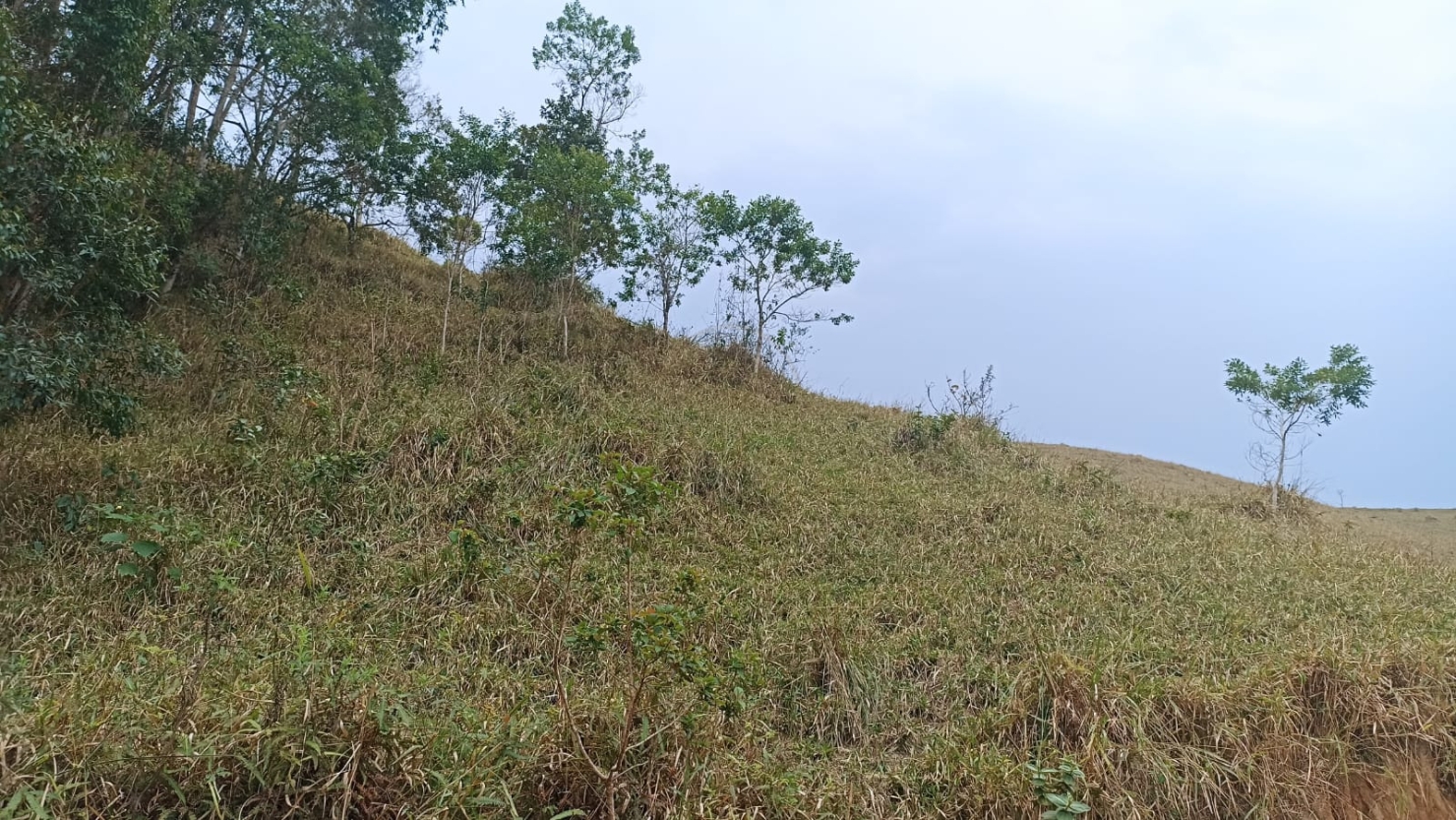 Sítio, 1 quarto, 100 m² - Foto 1