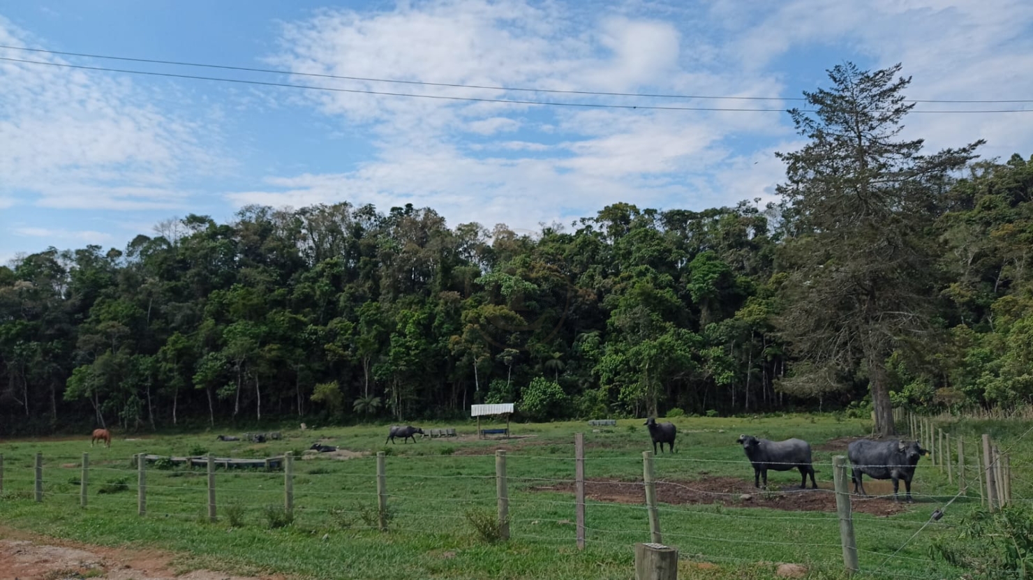 Fazenda-Sítio-Chácara, 240 m² - Foto 4