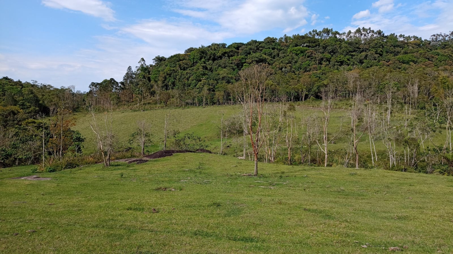 Fazenda-Sítio-Chácara, 240 m² - Foto 7