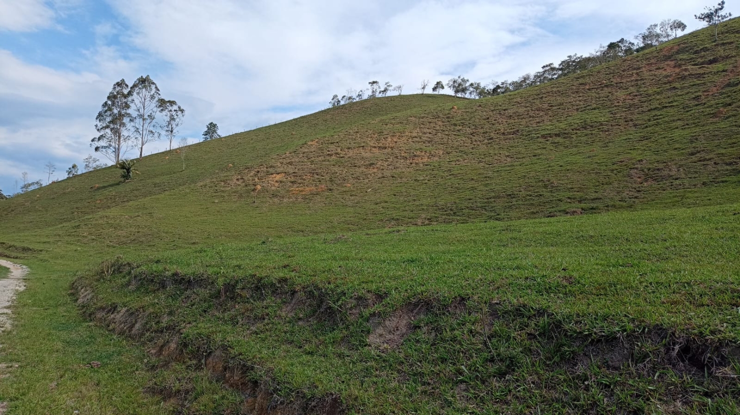 Fazenda-Sítio-Chácara, 240 m² - Foto 10