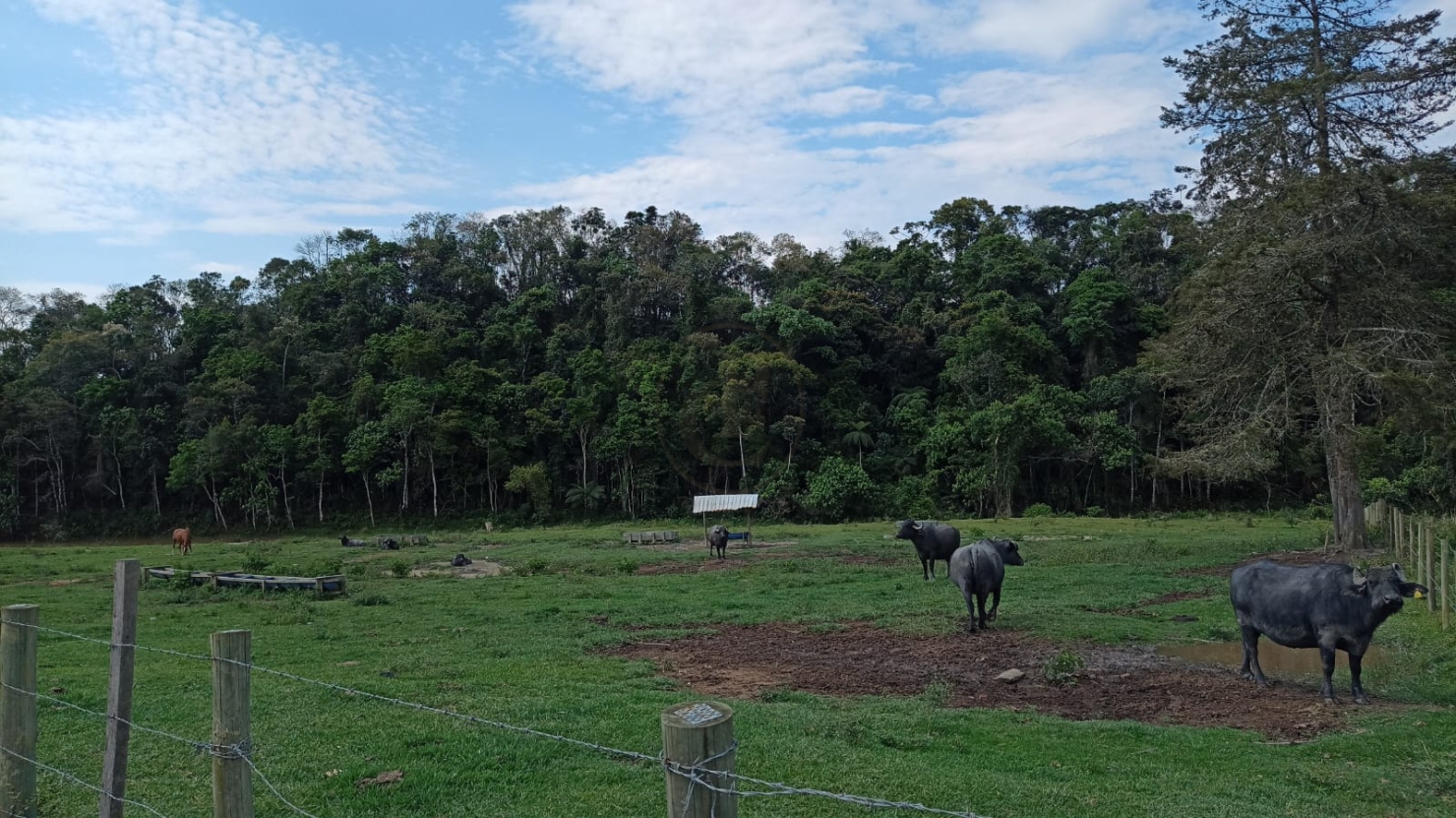 Fazenda-Sítio-Chácara, 240 m² - Foto 17