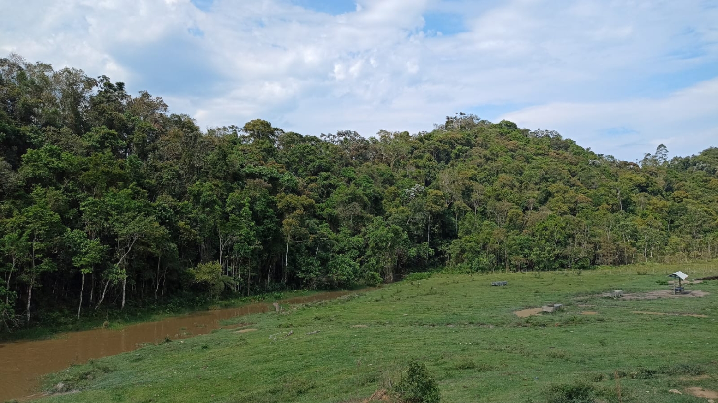 Fazenda-Sítio-Chácara, 240 m² - Foto 19