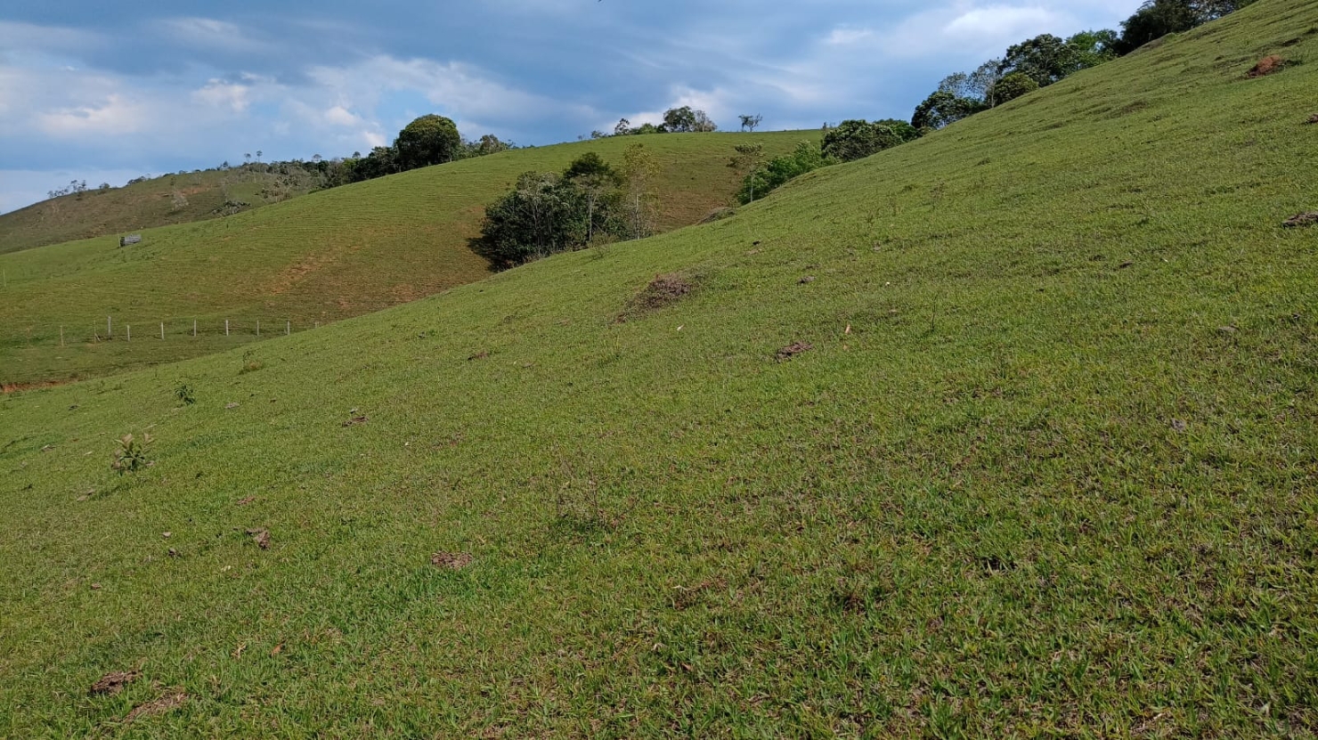 Fazenda-Sítio-Chácara, 240 m² - Foto 25