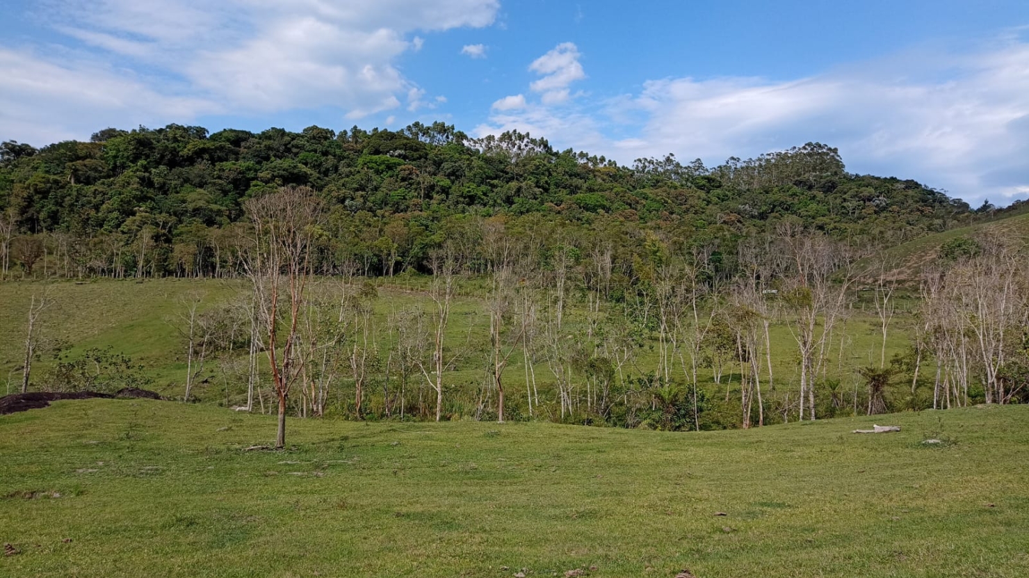 Fazenda-Sítio-Chácara, 240 m² - Foto 27