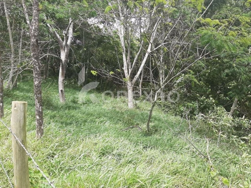 Terreno, 500 m² - Foto 5