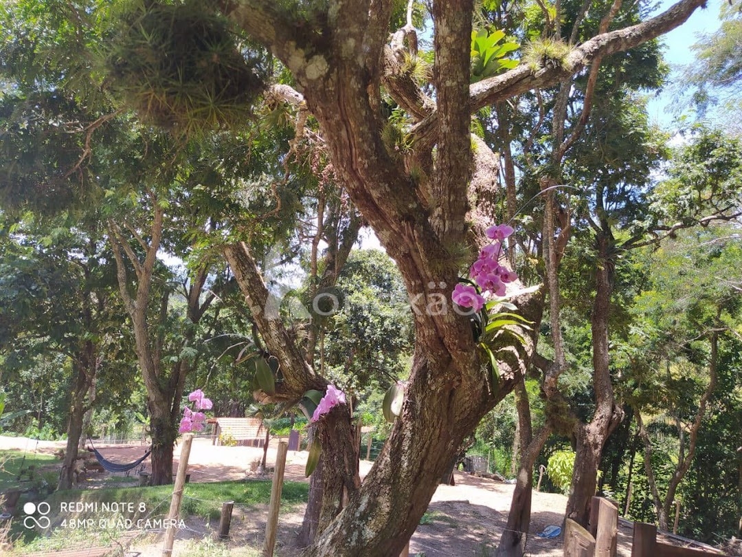 Chácara em Paraibuna/São Paulo — Ref BFVZWS — Imagem 16