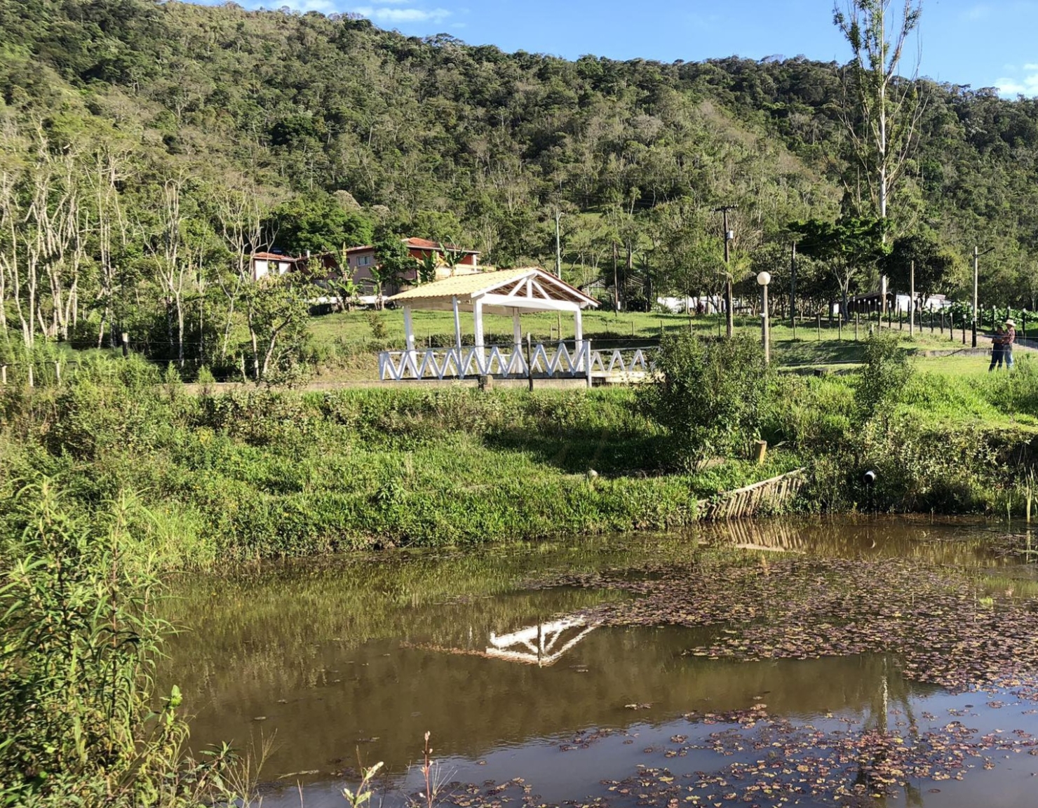 Fazenda, 300 m² - Foto 2