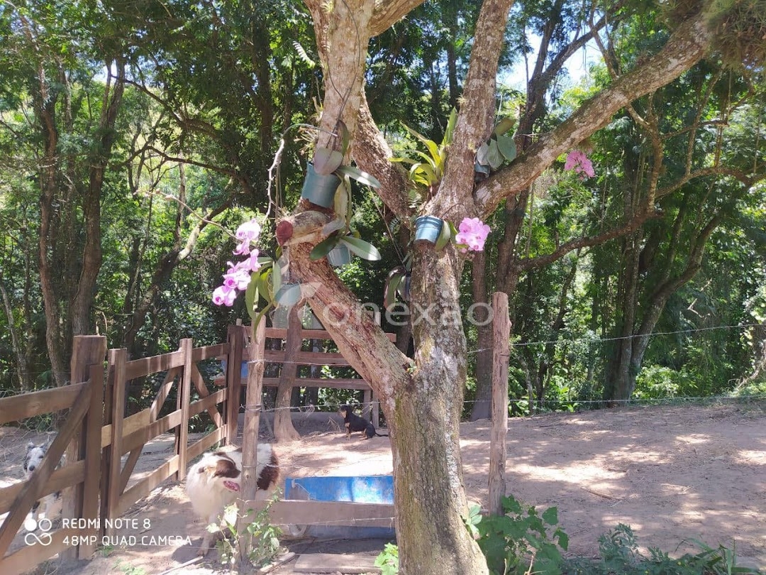 Chácara em Paraibuna/São Paulo — Ref BFVZWS — Imagem 22