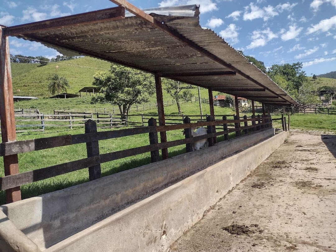 Fazenda-Sítio-Chácara, 194 hectares - Foto 6