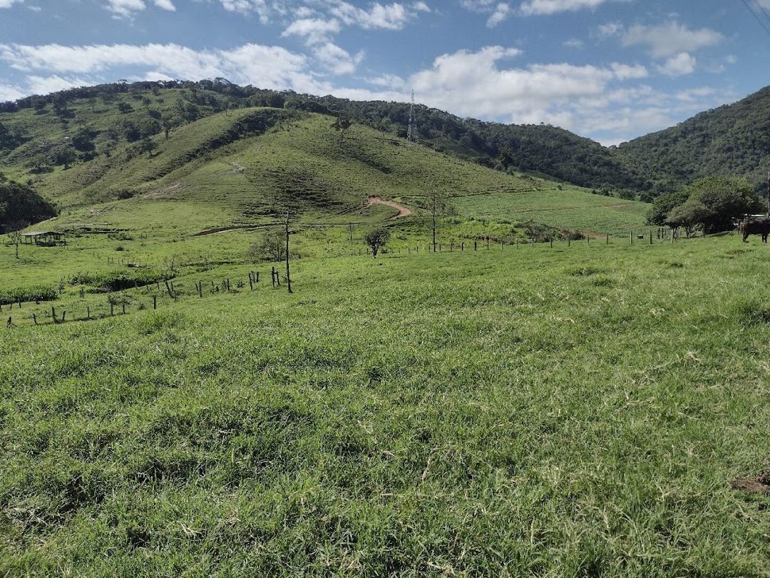 Fazenda-Sítio-Chácara, 194 hectares - Foto 19