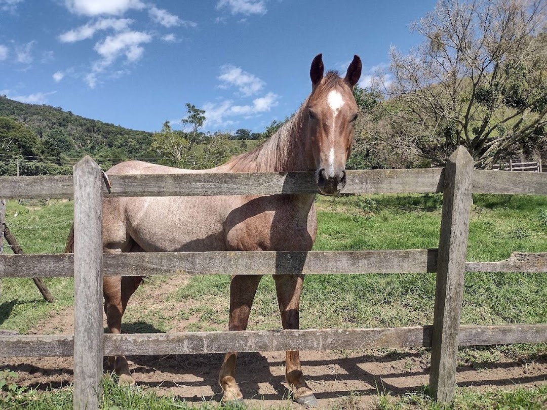Fazenda-Sítio-Chácara, 194 hectares - Foto 17