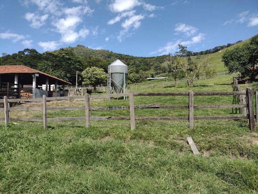 Fazenda-Sítio-Chácara, 194 hectares - Foto 18