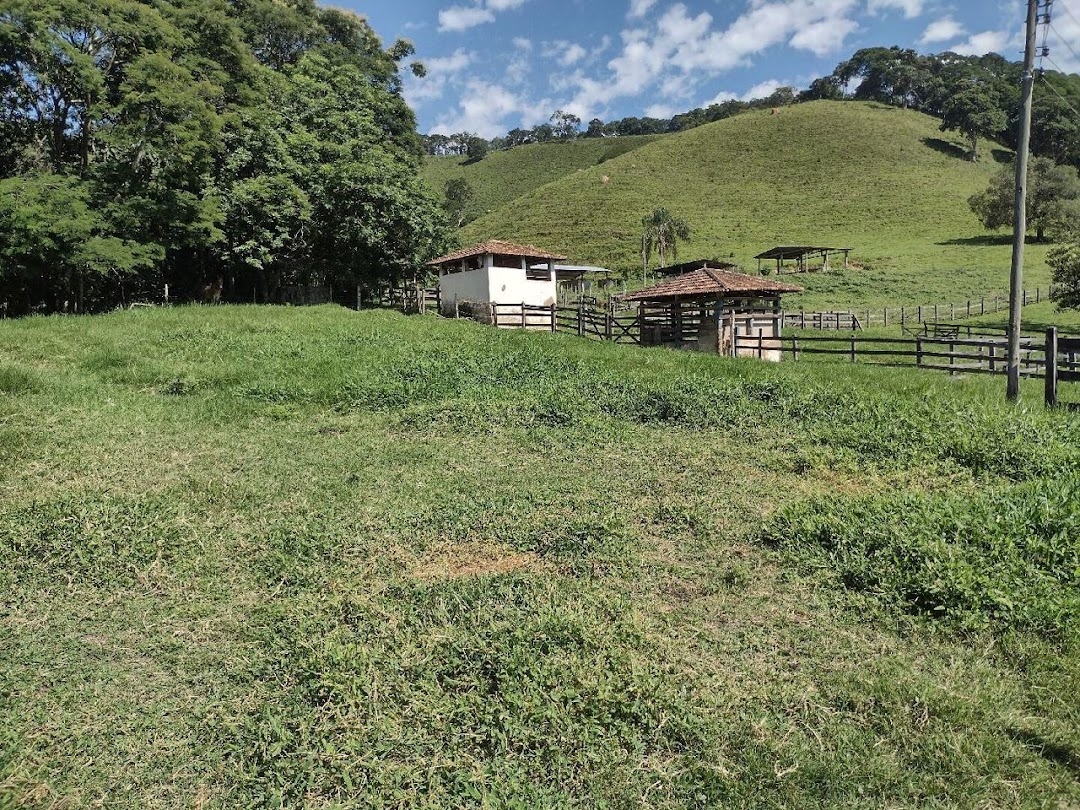Fazenda-Sítio-Chácara, 194 hectares - Foto 7