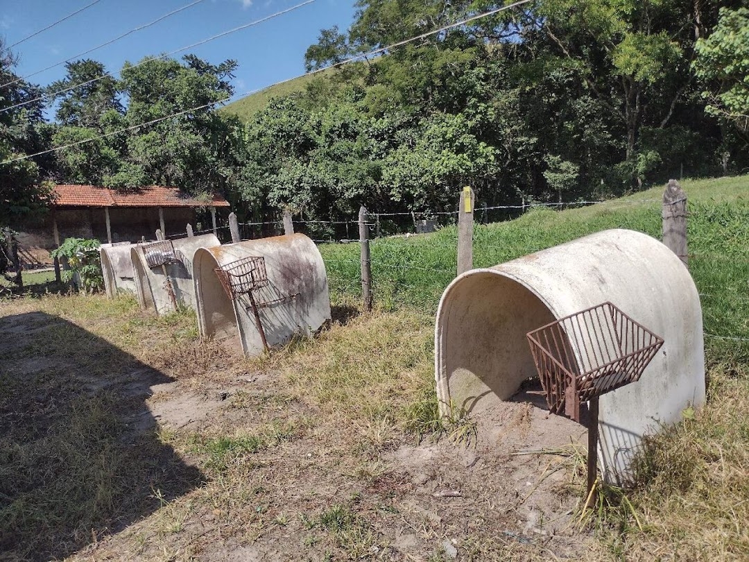 Fazenda-Sítio-Chácara, 194 hectares - Foto 8