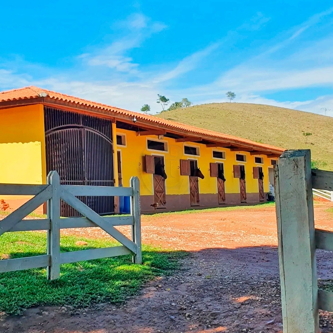 Sítio, 5 quartos, 150 m² - Foto 2