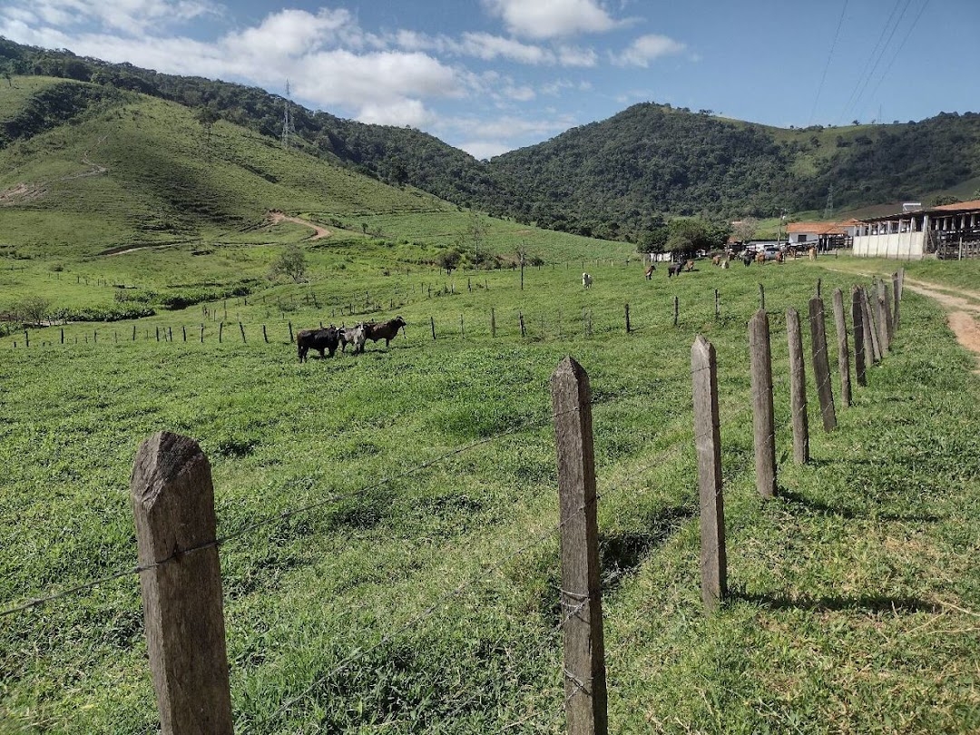 Fazenda-Sítio-Chácara, 194 hectares - Foto 20