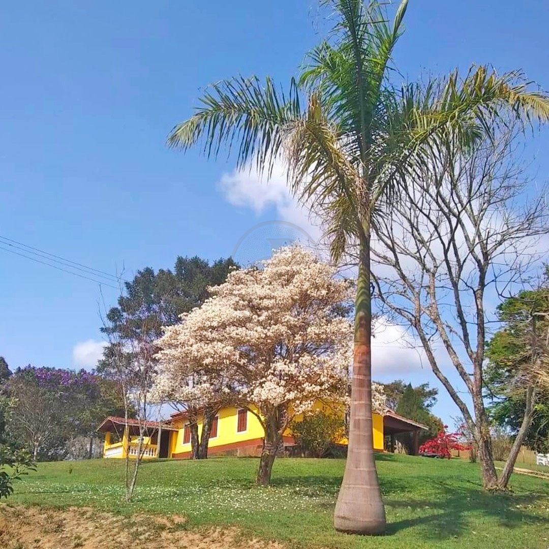 Sítio, 5 quartos, 150 m² - Foto 11